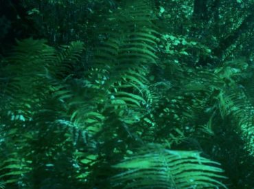 Laboratory of Sonic Arts